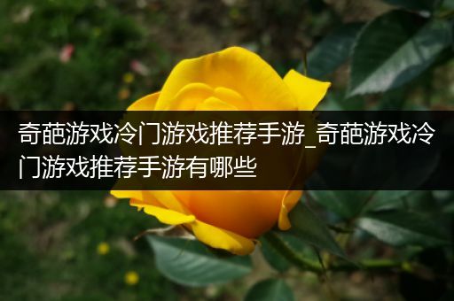 奇葩游戏冷门游戏推荐手游_奇葩游戏冷门游戏推荐手游有哪些
