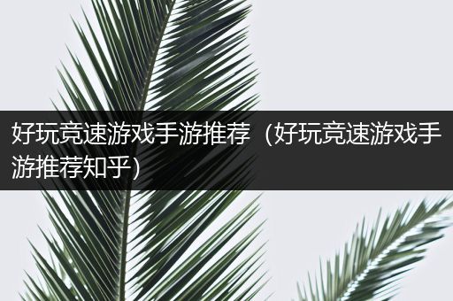 好玩竞速游戏手游推荐（好玩竞速游戏手游推荐知乎）