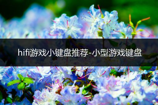 hifi游戏小键盘推荐-小型游戏键盘