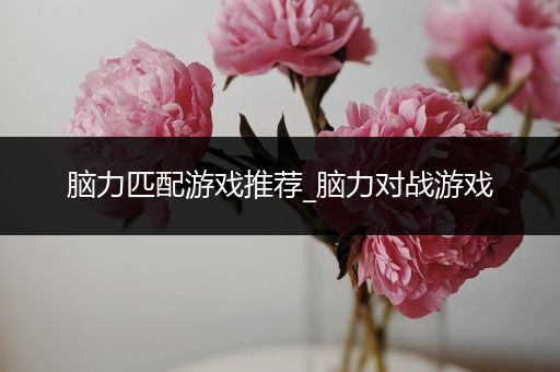 脑力匹配游戏推荐_脑力对战游戏