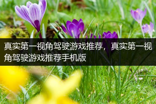 真实第一视角驾驶游戏推荐，真实第一视角驾驶游戏推荐手机版