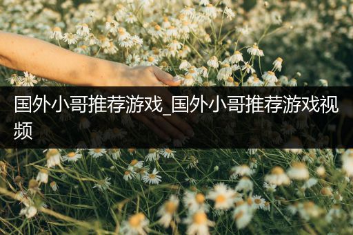 国外小哥推荐游戏_国外小哥推荐游戏视频
