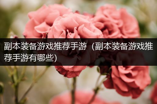 副本装备游戏推荐手游（副本装备游戏推荐手游有哪些）