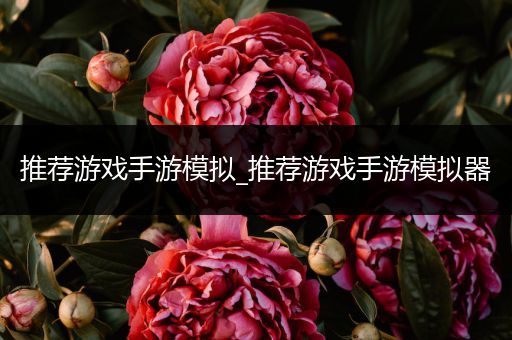 推荐游戏手游模拟_推荐游戏手游模拟器
