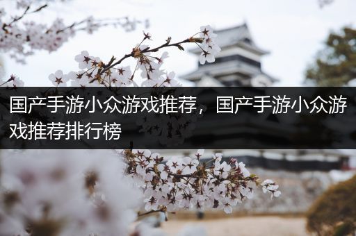 国产手游小众游戏推荐，国产手游小众游戏推荐排行榜