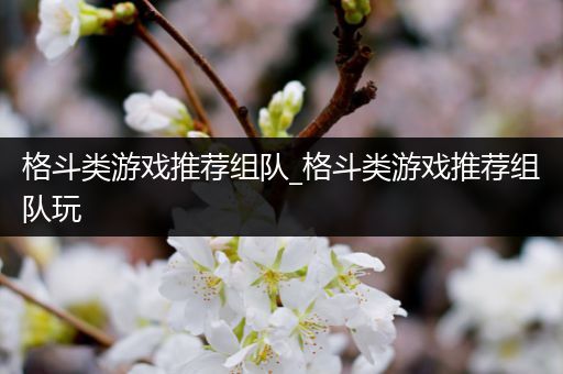 格斗类游戏推荐组队_格斗类游戏推荐组队玩