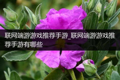联网端游游戏推荐手游_联网端游游戏推荐手游有哪些