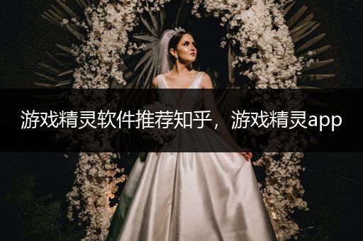 游戏精灵软件推荐知乎，游戏精灵app