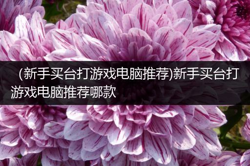 （新手买台打游戏电脑推荐)新手买台打游戏电脑推荐哪款