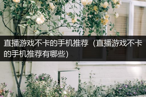 直播游戏不卡的手机推荐（直播游戏不卡的手机推荐有哪些）