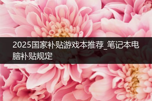 2025国家补贴游戏本推荐_笔记本电脑补贴规定