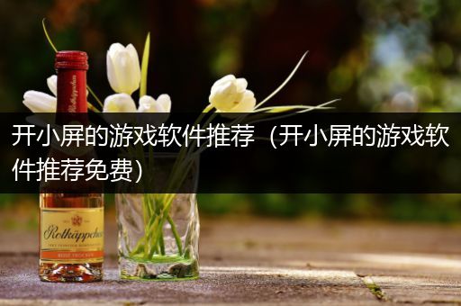 开小屏的游戏软件推荐（开小屏的游戏软件推荐免费）