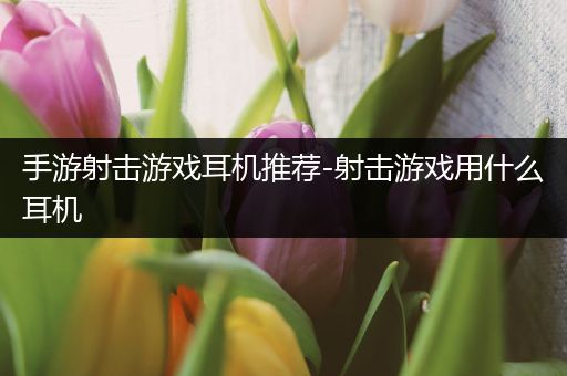 手游射击游戏耳机推荐-射击游戏用什么耳机