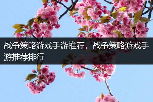 战争策略游戏手游推荐，战争策略游戏手游推荐排行