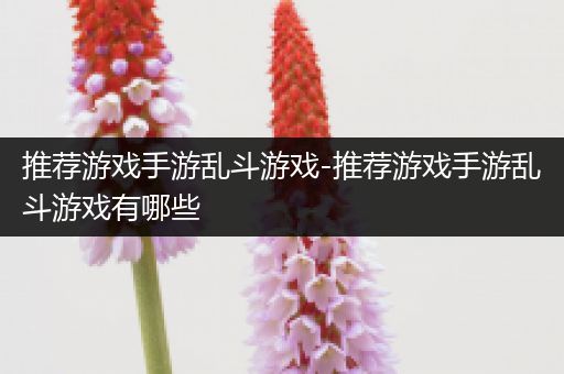 推荐游戏手游乱斗游戏-推荐游戏手游乱斗游戏有哪些