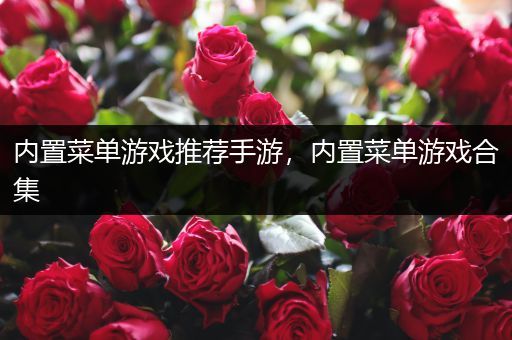 内置菜单游戏推荐手游，内置菜单游戏合集