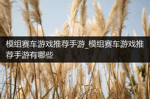 模组赛车游戏推荐手游_模组赛车游戏推荐手游有哪些