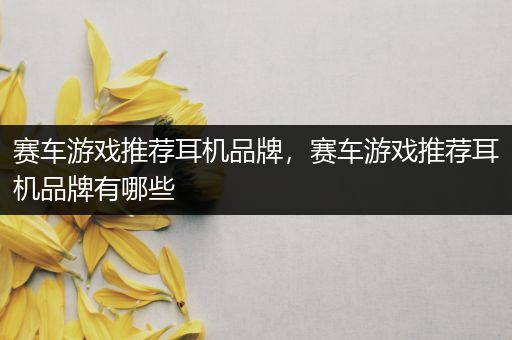 赛车游戏推荐耳机品牌，赛车游戏推荐耳机品牌有哪些