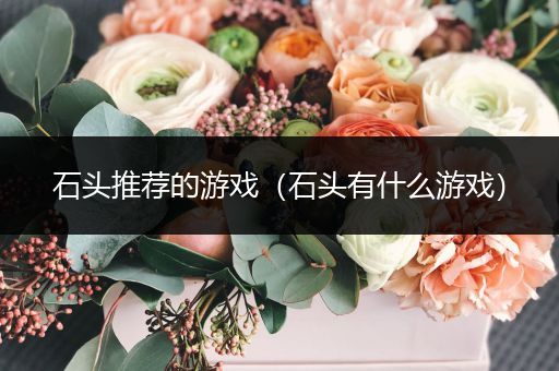 石头推荐的游戏（石头有什么游戏）