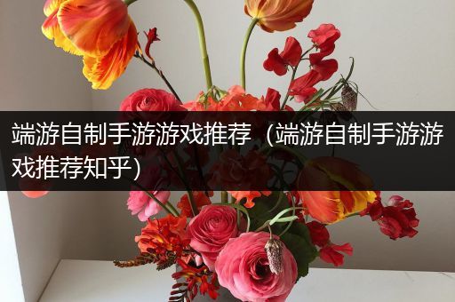 端游自制手游游戏推荐（端游自制手游游戏推荐知乎）