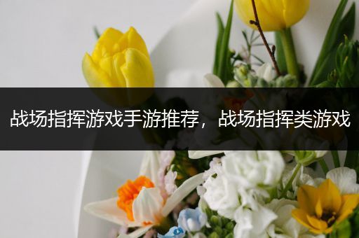 战场指挥游戏手游推荐，战场指挥类游戏