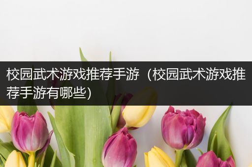校园武术游戏推荐手游（校园武术游戏推荐手游有哪些）