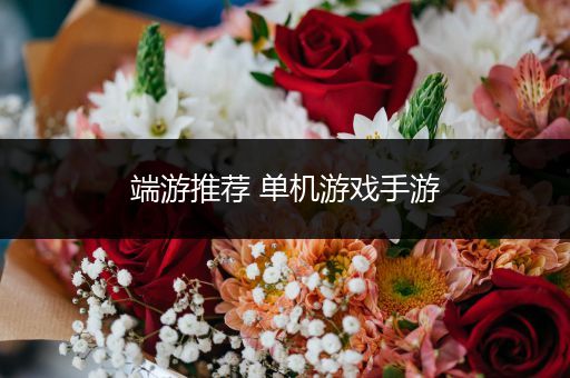 端游推荐 单机游戏手游