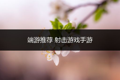 端游推荐 射击游戏手游