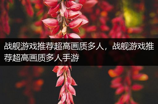 战舰游戏推荐超高画质多人，战舰游戏推荐超高画质多人手游