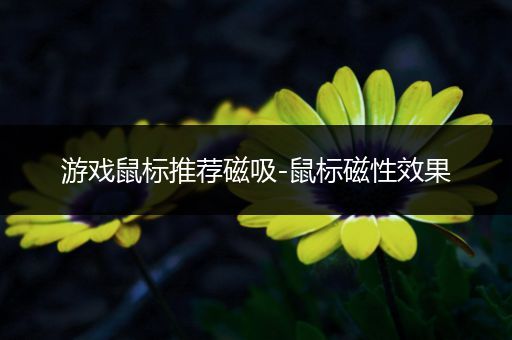 游戏鼠标推荐磁吸-鼠标磁性效果