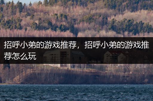 招呼小弟的游戏推荐，招呼小弟的游戏推荐怎么玩