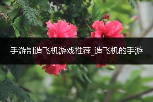 手游制造飞机游戏推荐_造飞机的手游