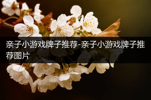 亲子小游戏牌子推荐-亲子小游戏牌子推荐图片