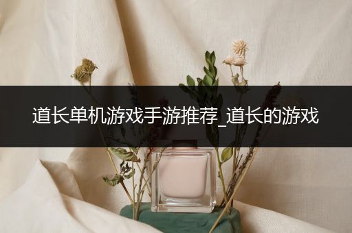 道长单机游戏手游推荐_道长的游戏
