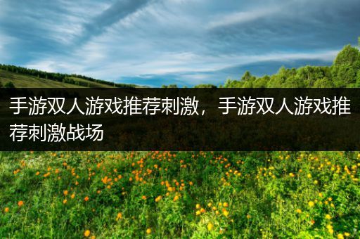 手游双人游戏推荐刺激，手游双人游戏推荐刺激战场