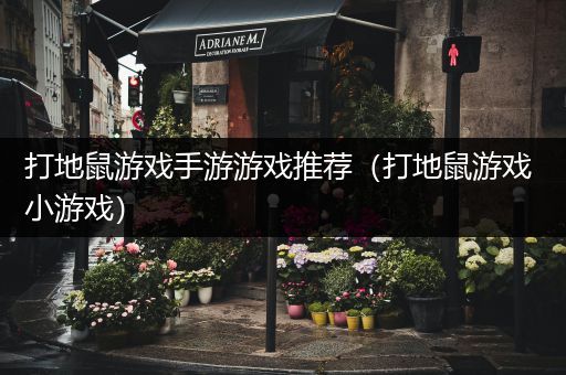 打地鼠游戏手游游戏推荐（打地鼠游戏 小游戏）