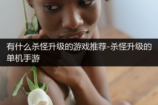 有什么杀怪升级的游戏推荐-杀怪升级的单机手游