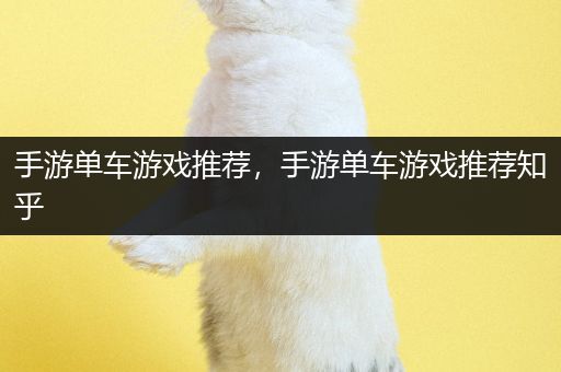 手游单车游戏推荐，手游单车游戏推荐知乎