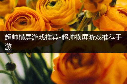 超帅横屏游戏推荐-超帅横屏游戏推荐手游