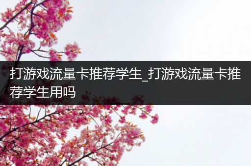 打游戏流量卡推荐学生_打游戏流量卡推荐学生用吗