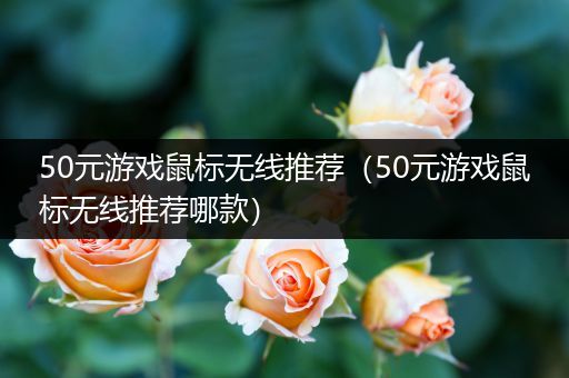 50元游戏鼠标无线推荐（50元游戏鼠标无线推荐哪款）