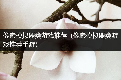 像素模拟器类游戏推荐（像素模拟器类游戏推荐手游）