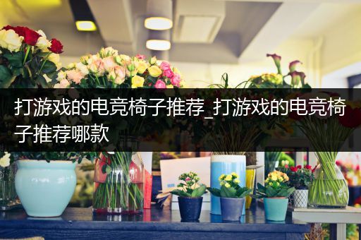 打游戏的电竞椅子推荐_打游戏的电竞椅子推荐哪款