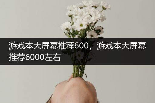 游戏本大屏幕推荐600，游戏本大屏幕推荐6000左右