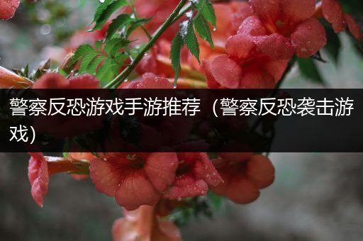 警察反恐游戏手游推荐（警察反恐袭击游戏）