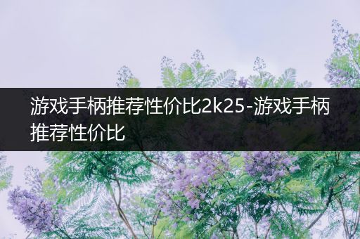 游戏手柄推荐性价比2k25-游戏手柄推荐性价比