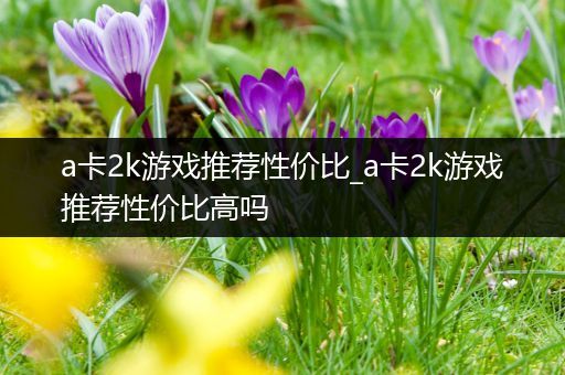 a卡2k游戏推荐性价比_a卡2k游戏推荐性价比高吗