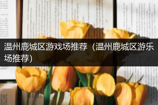 温州鹿城区游戏场推荐（温州鹿城区游乐场推荐）