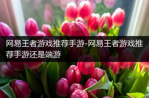 网易王者游戏推荐手游-网易王者游戏推荐手游还是端游