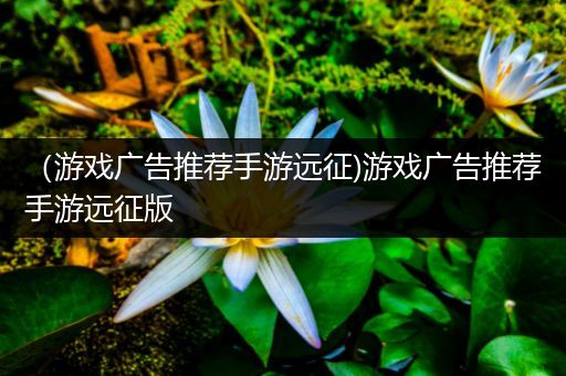 （游戏广告推荐手游远征)游戏广告推荐手游远征版